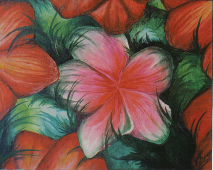"Mis flores de la...