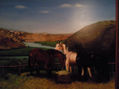 caballos