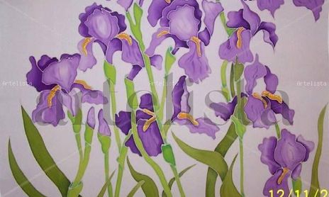 Flores