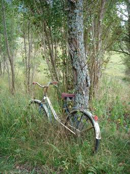 bicicleta Otras temáticas Color (Digital)