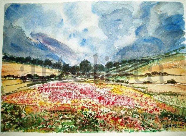 Campos y flores