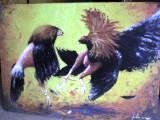 gallos Oil Canvas Landscaping