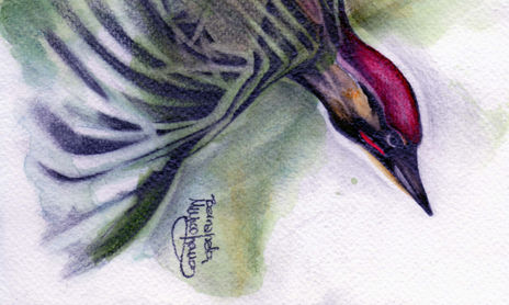 dibujos