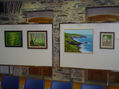 Exposición Toxos e Froles