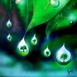 FLORES thumbnail 2