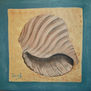Caracola