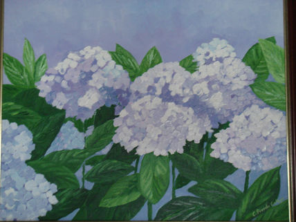 Hortensias