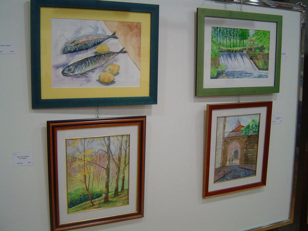 Exposición Toxos e froles Ferrol