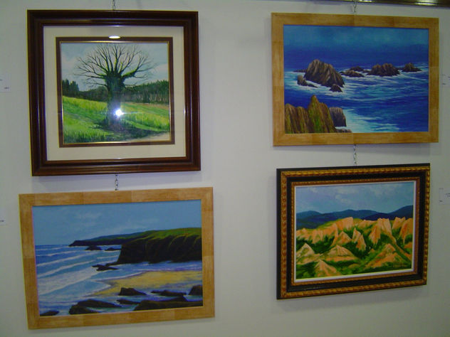 Exposición Toxos e Froles (Ferrol)