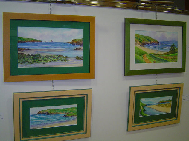 Exposición Toxos e Froles Ferrol