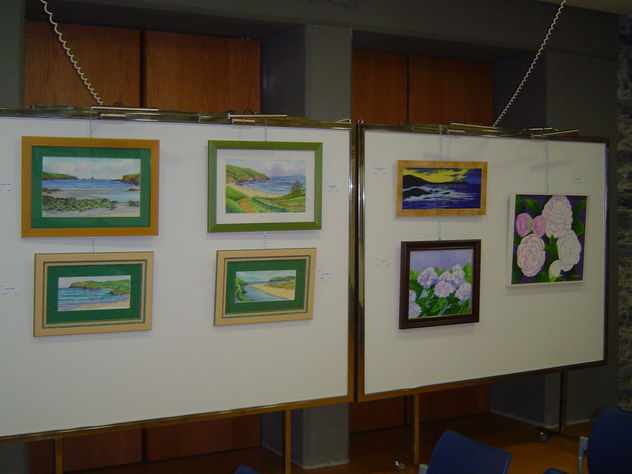 Exposición Toxos e Froles Ferrol