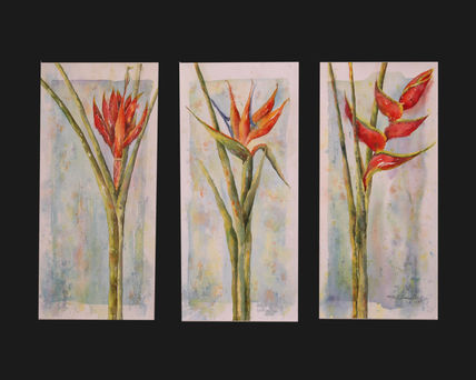 Flores exóticas