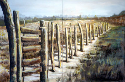 Barreras en el campo