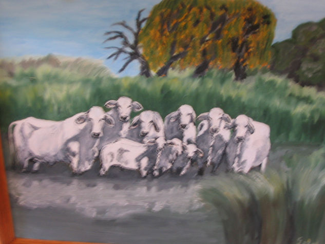 Vacas Oil Canvas