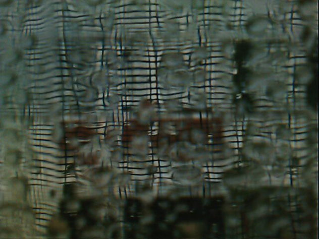 RESTOS DE LLUVIA EN MI VENTANA