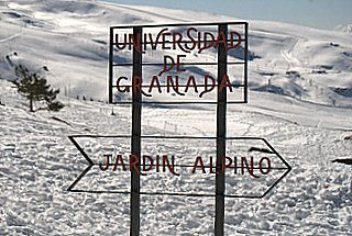 Sierra nevada Jardin de las nieves 