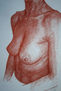 nudo