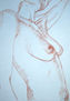 nudo