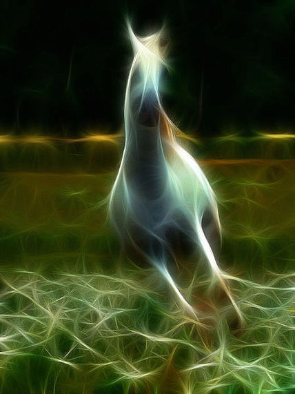Malevo de Luz