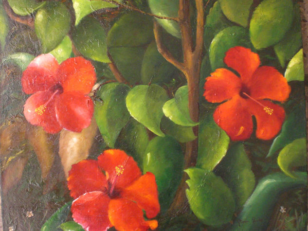 Hibiscus Oil Canvas Floral Painting