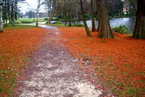 Alfombra de sueños