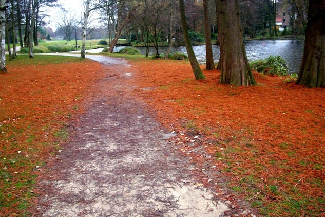 Alfombra de sueños Naturaleza Color (Digital)