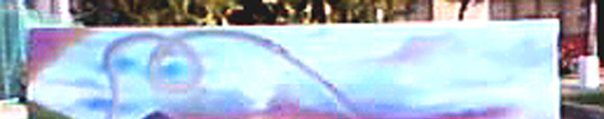 Imagen de portada