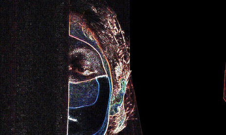 exposición 2008