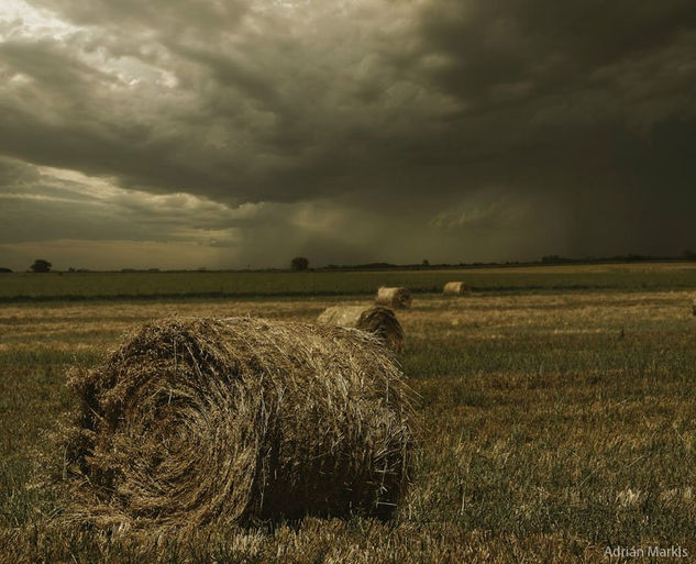 ¨ Fardos ¨ de la serie Paísajes de Campo 