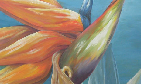 flores