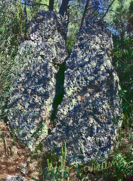 RoCaDuAlIdAd