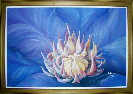 Clematis