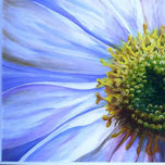 flores thumbnail 2
