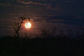 silencio en la noche