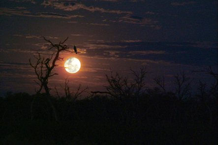 silencio en la noche