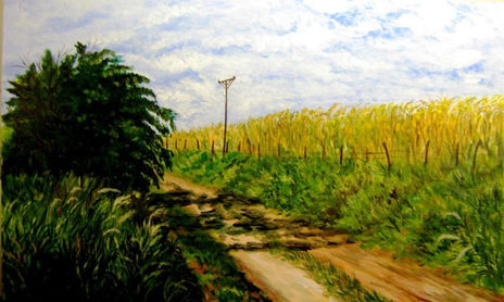 LOS TOLDOS  PAISAJES DEL ALMA