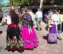 Bordados trajes...