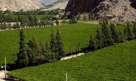 Valle del Elqui