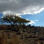 Valle del Elqui thumbnail 1