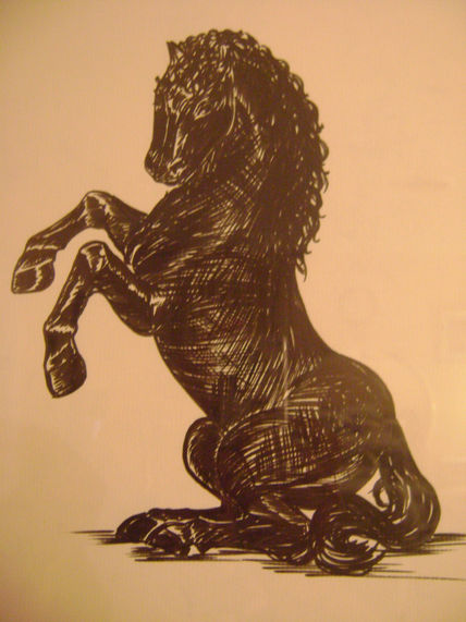 Caballo negro ll.