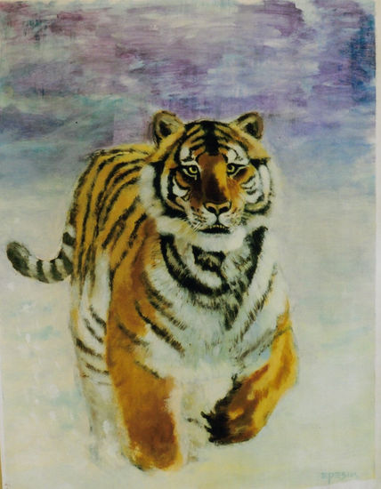 tigre Acrylic Paper