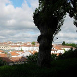 Paisaje thumbnail 1