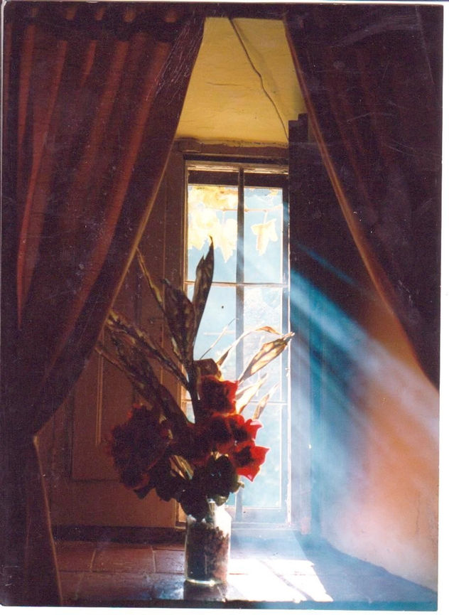flores en la ventana