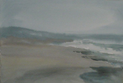 Playa en Rocas de...