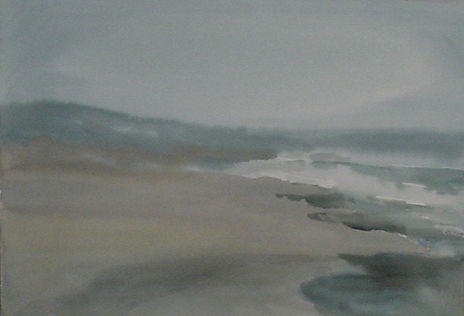 Playa en Rocas de...