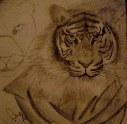 Tigre Pencil