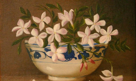 Flores