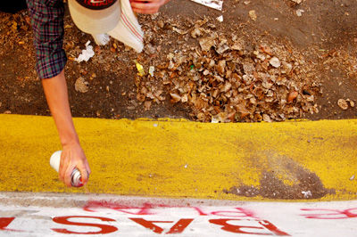 pintor revelde