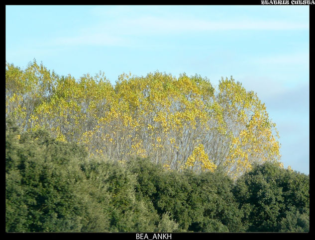 Otoño 