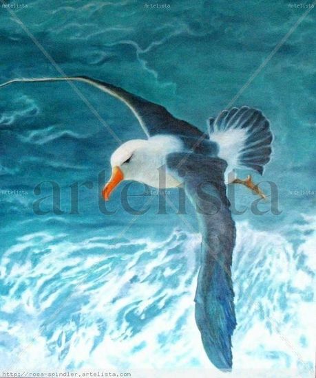 "Albatros" Oil Canvas Animals